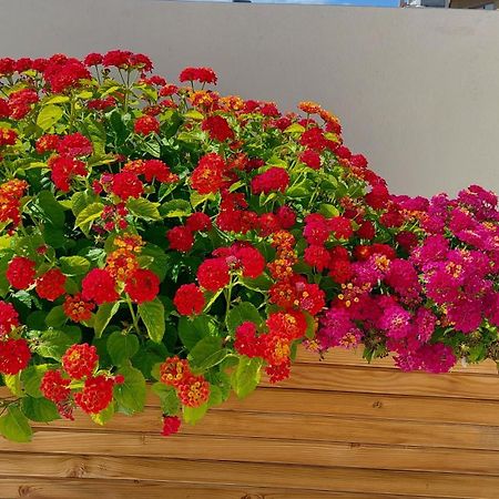 Elegant Apartment In The Heart Of Heraklion Exteriör bild